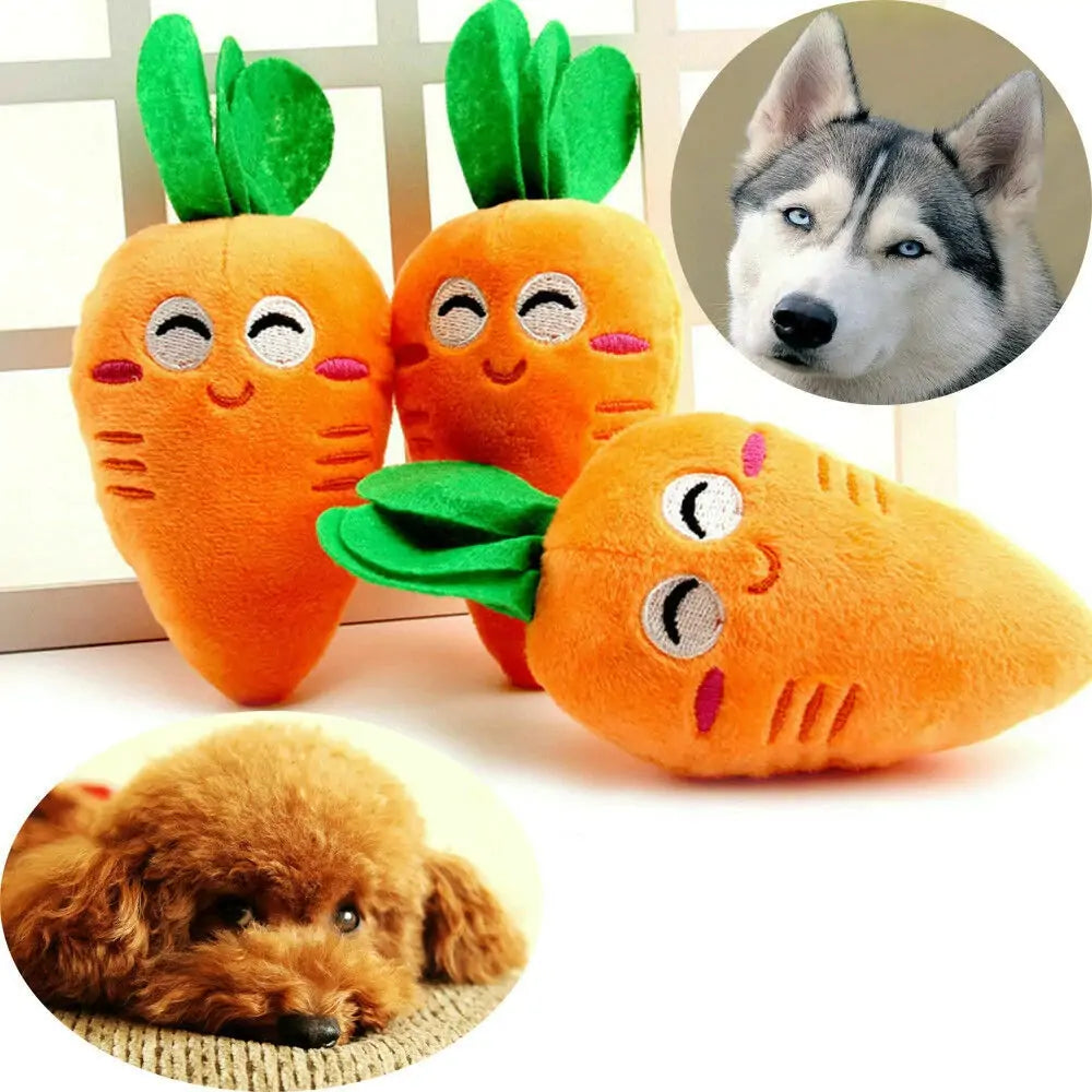 Carrot Pet Toy